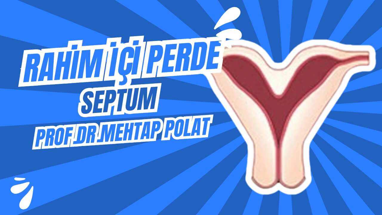 rahim ici perde septum