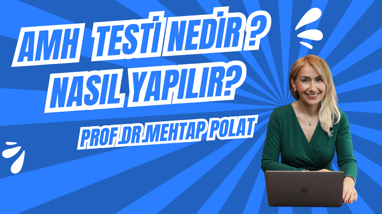 amh testi