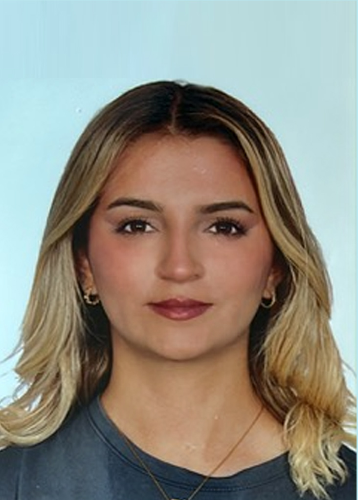 devrgim gezgin teknisyen
