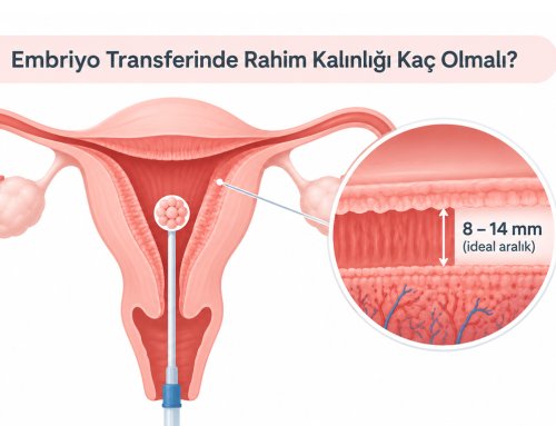 Embriyo Transferinde Rahim Kalınlığı Kaç Olmalı?