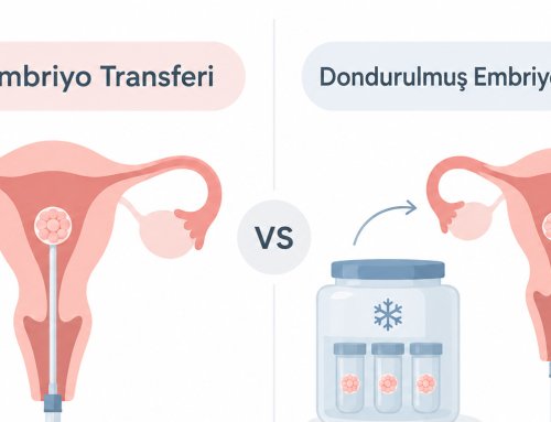 Taze Embriyo Transferi ile Dondurulmuş Transfer Arasındaki Farklar
